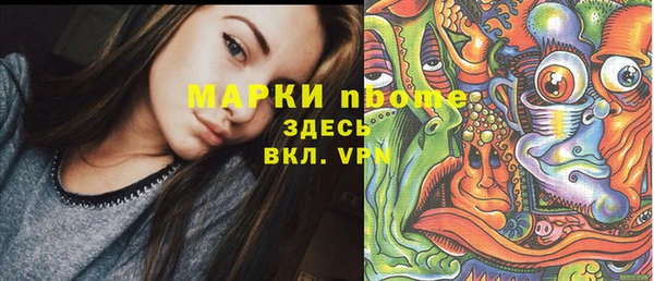 стафф Покачи