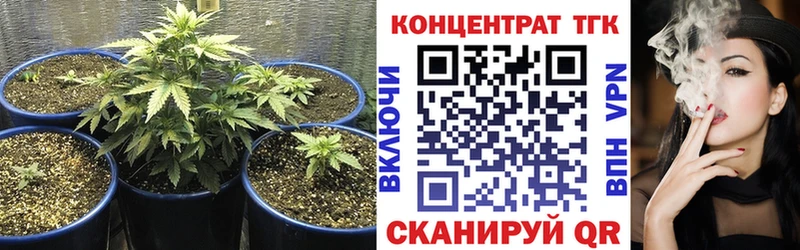 ТГК Wax  MEGA зеркало  Великий Новгород  цены  