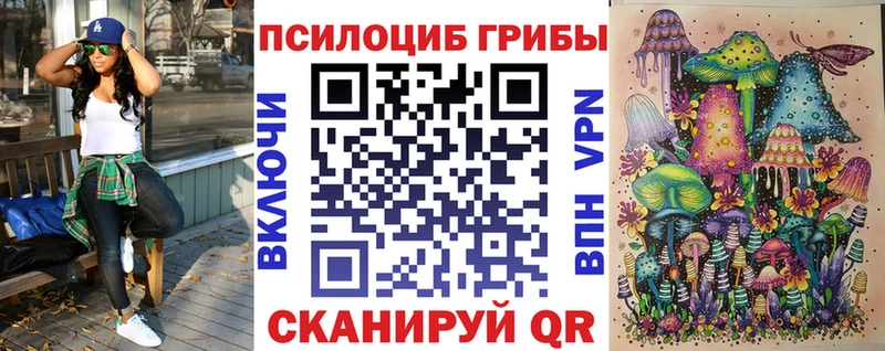 Галлюциногенные грибы Psilocybine cubensis  Великий Новгород 