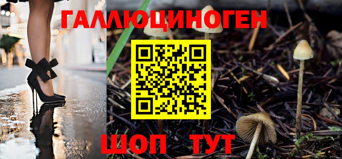 Галлюциногенные грибы прущие грибы Великий Новгород